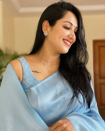 Beautiful Sky Blue Soft Silk Saree with Minimal Elegant Finish and Stylish work