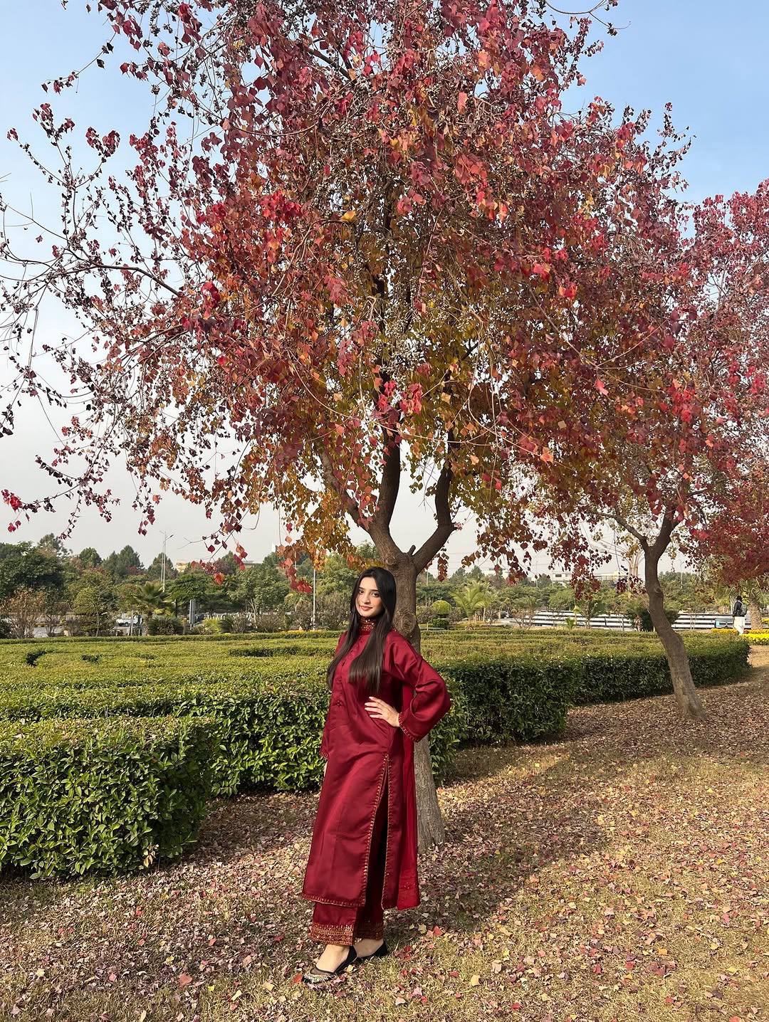 Majestic Maroon Premium Pure Cotton Embroidered Suit Set with Heavy Designer Dupatta