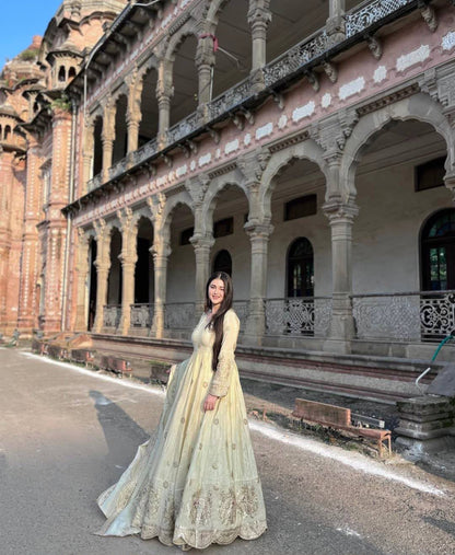 Exquisite Pastel Chinon Silk Embroidered Gown with Graceful Flair