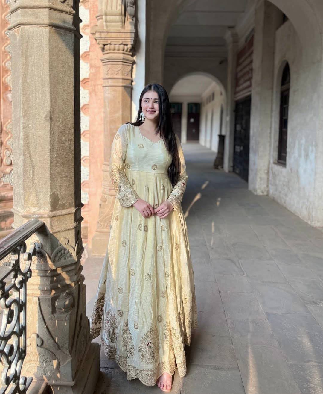 Exquisite Pastel Chinon Silk Embroidered Gown with Graceful Flair