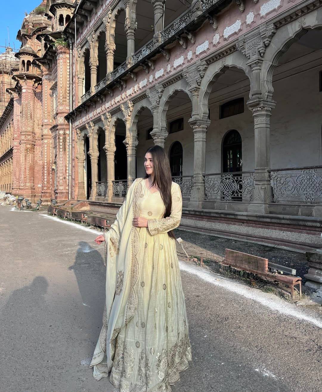 Exquisite Pastel Chinon Silk Embroidered Gown with Graceful Flair