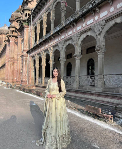 Exquisite Pastel Chinon Silk Embroidered Gown with Graceful Flair